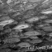 jack_bigeye_dar_h_0044_ecu0813_bw.jpg